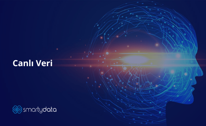 Canlı Veri Nedir?